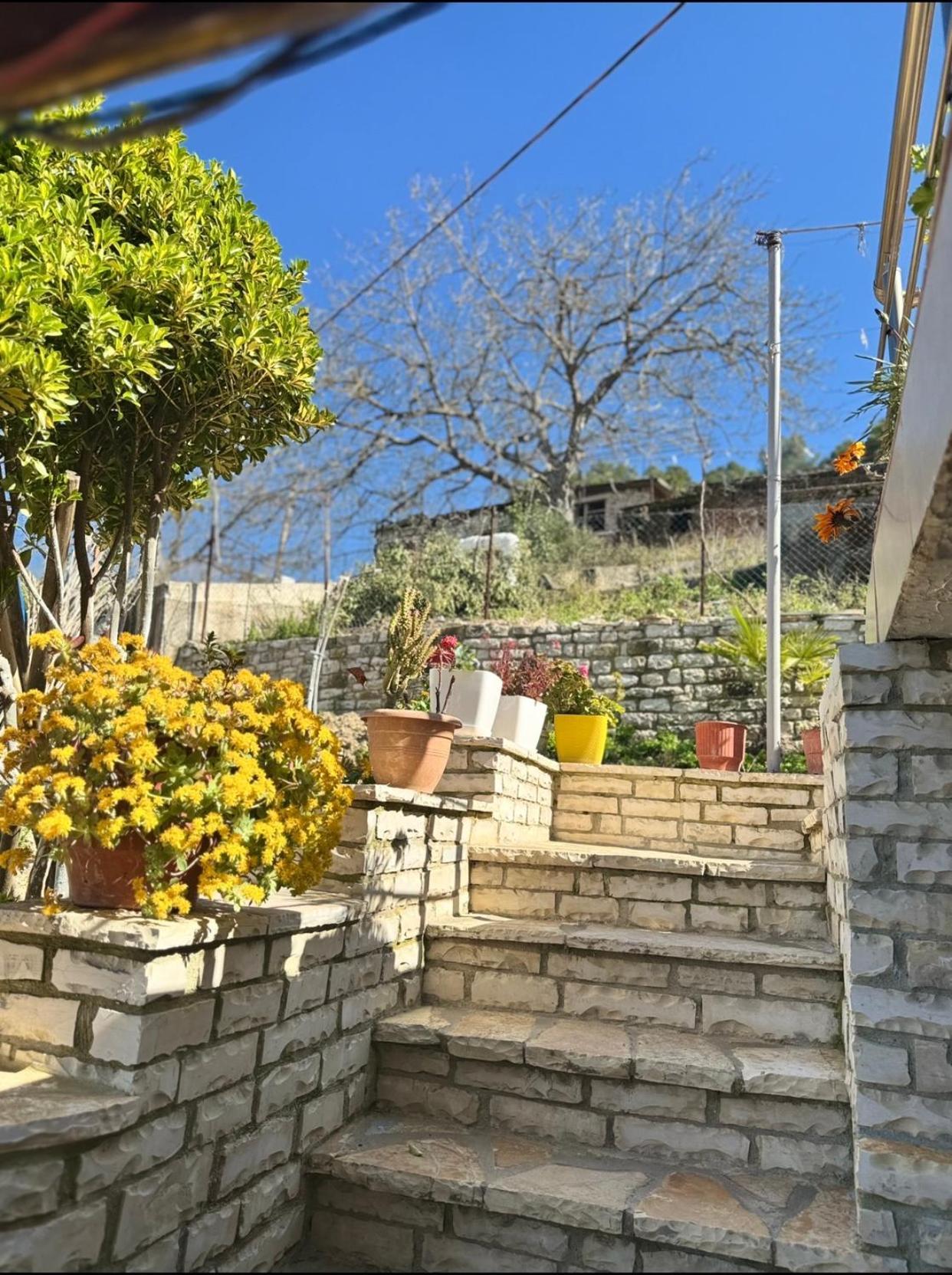 Guesthouse & Hospitality Berat Exterior foto
